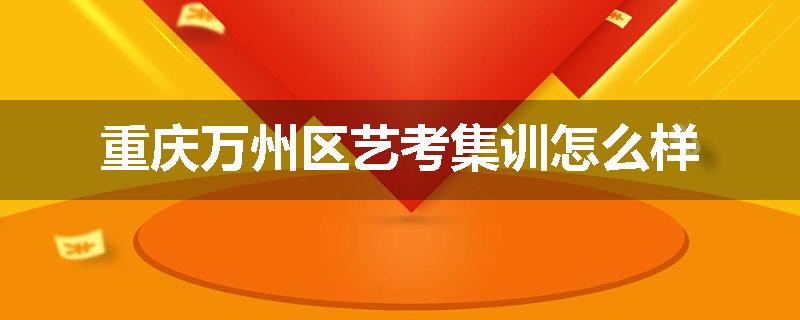 重庆万州区艺考集训怎么样