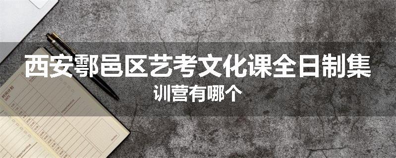 西安鄠邑区艺考文化课全日制集训营有哪个