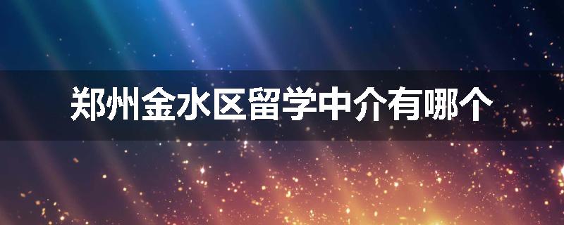 郑州金水区留学中介有哪个