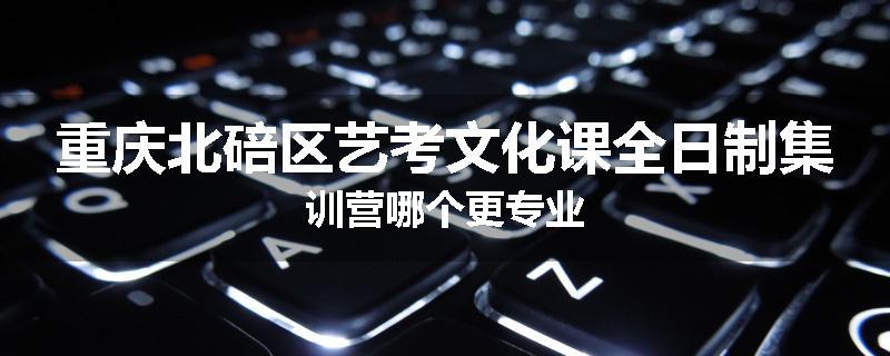 重庆北碚区艺考文化课全日制集训营哪个更专业