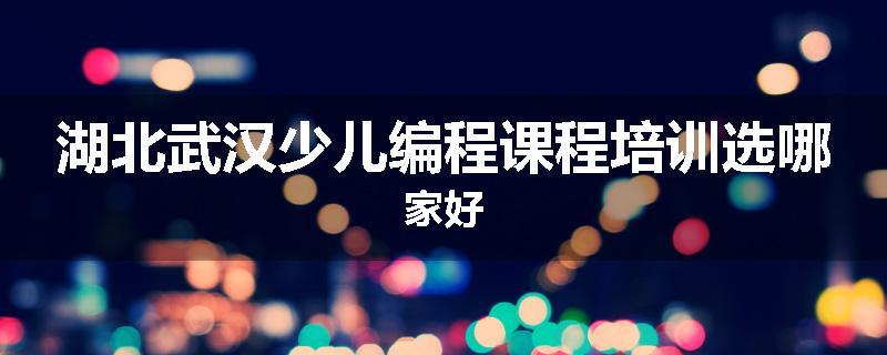 湖北武汉少儿编程课程培训选哪家好