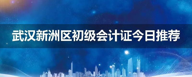 武汉新洲区初级会计证今日推荐