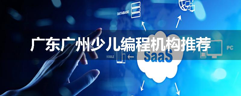 广东广州少儿编程机构推荐