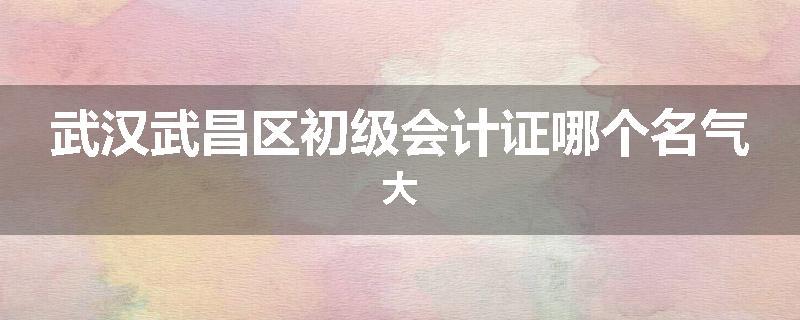武汉武昌区初级会计证哪个名气大