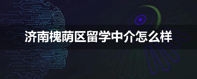 济南槐荫区留学中介怎么样