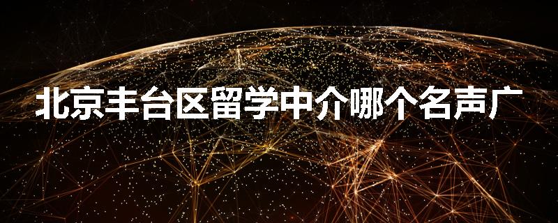 北京丰台区留学中介哪个名声广