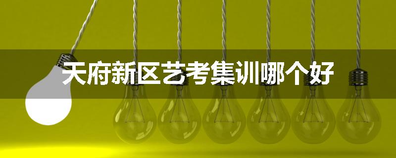 天府新区艺考集训哪个好