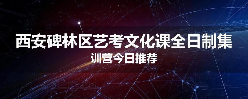 西安碑林区艺考文化课全日制集训营今日推荐