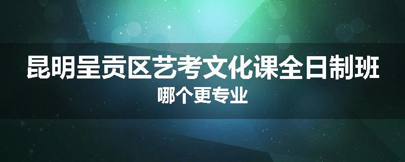 昆明呈贡区艺考文化课全日制班哪个更专业