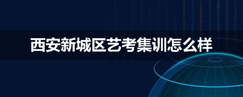 西安新城区艺考集训怎么样