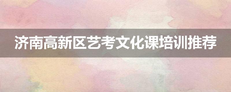 济南高新区艺考文化课培训推荐