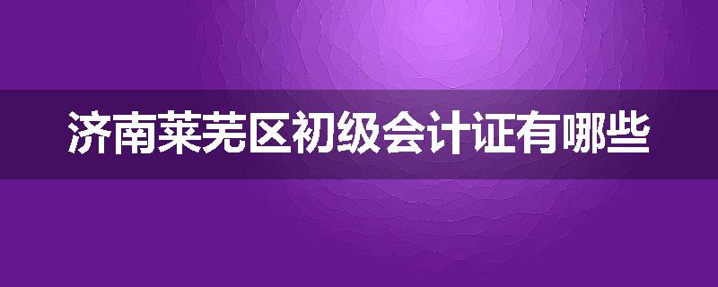 济南莱芜区初级会计证有哪些