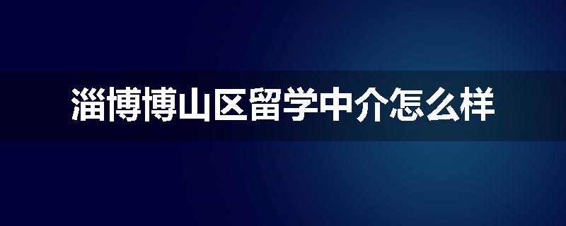 淄博博山区留学中介怎么样