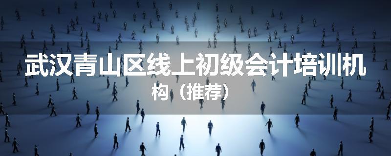 武汉青山区线上初级会计培训机构（推荐）