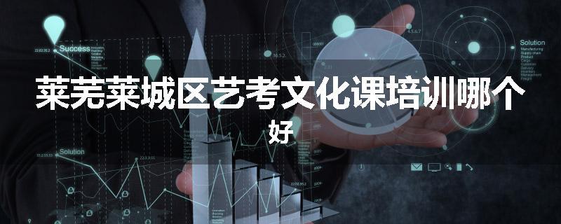 莱芜莱城区艺考文化课培训哪个好