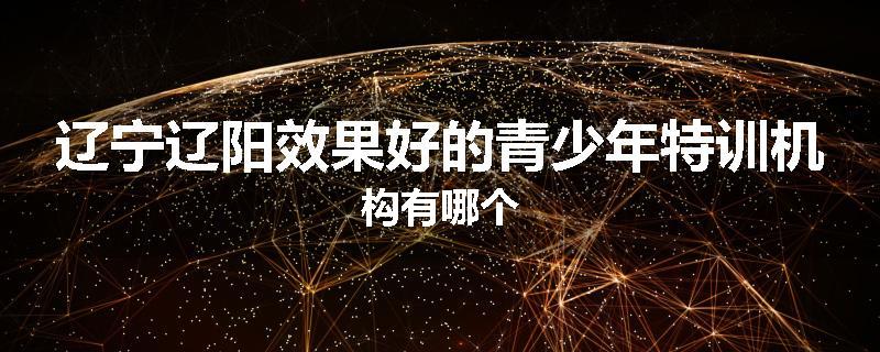 辽宁辽阳效果好的青少年特训机构有哪个