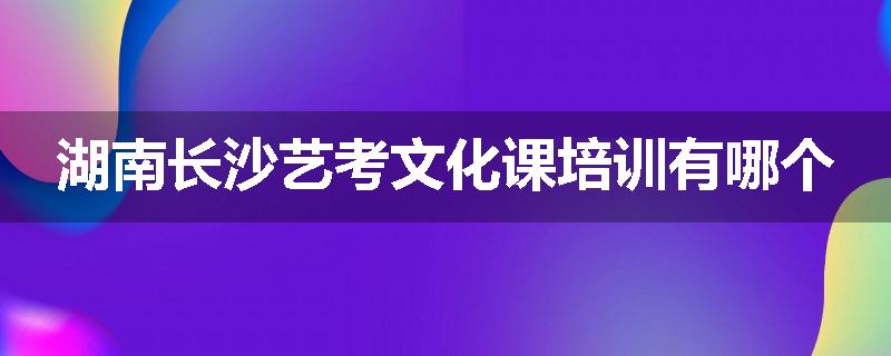 湖南长沙艺考文化课培训有哪个