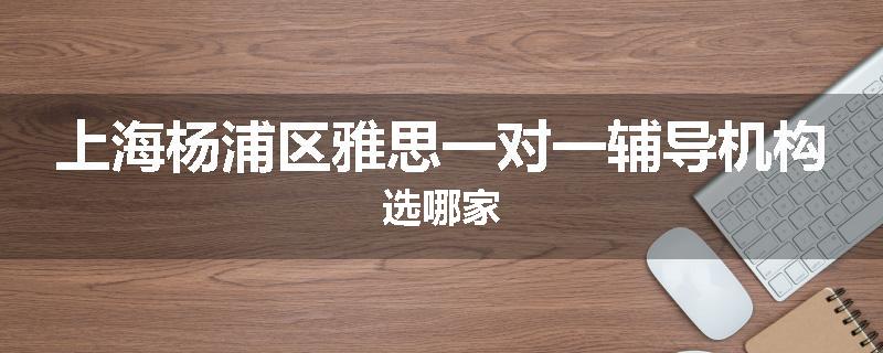 上海杨浦区雅思一对一辅导机构选哪家