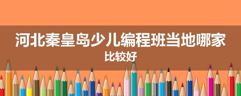 河北秦皇岛少儿编程班当地哪家比较好