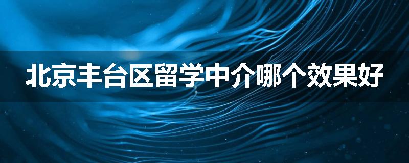 北京丰台区留学中介哪个效果好