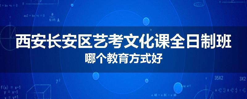 西安长安区艺考文化课全日制班哪个教育方式好