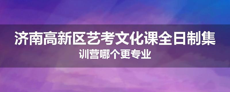 济南高新区艺考文化课全日制集训营哪个更专业