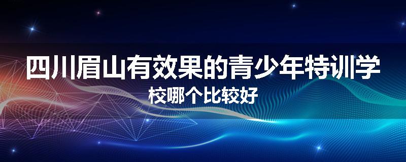 四川眉山有效果的青少年特训学校哪个比较好