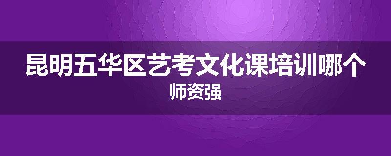 昆明五华区艺考文化课培训哪个师资强