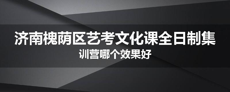 济南槐荫区艺考文化课全日制集训营哪个效果好