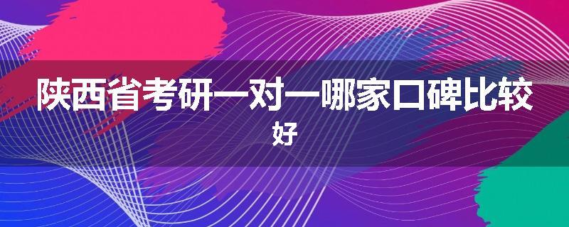 陕西省考研一对一哪家口碑比较好