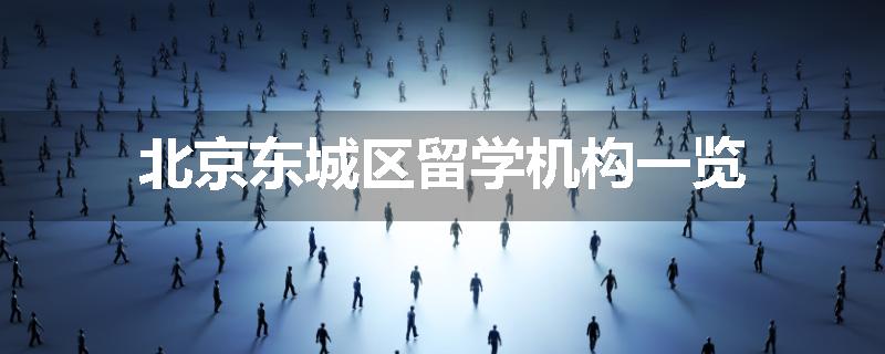 北京东城区留学机构一览