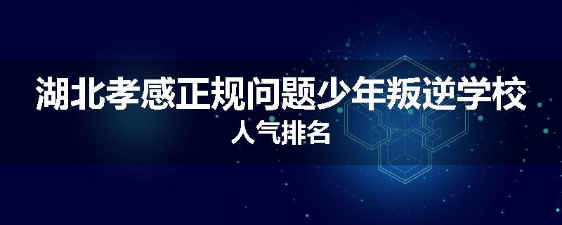 湖北孝感正规问题少年叛逆学校人气排名