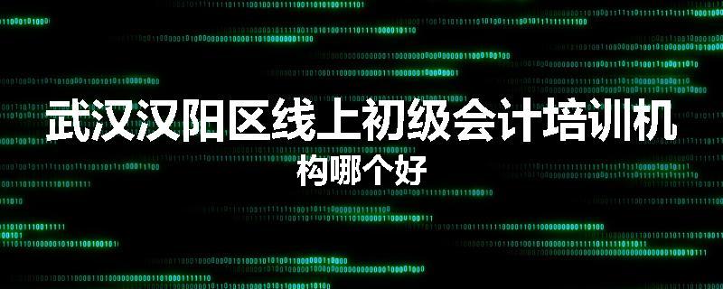 武汉汉阳区线上初级会计培训机构哪个好