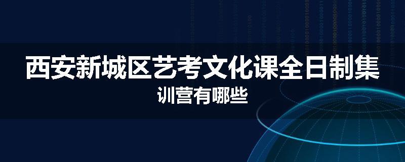 西安新城区艺考文化课全日制集训营有哪些