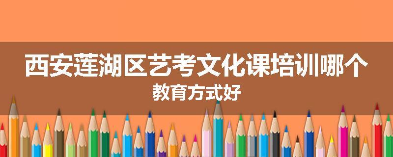 西安莲湖区艺考文化课培训哪个教育方式好
