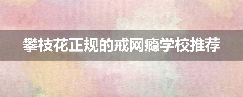 攀枝花正规的戒网瘾学校推荐