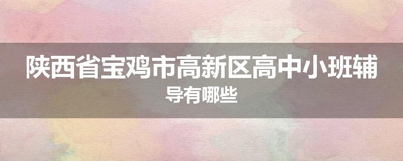 陕西省宝鸡市高新区高中小班辅导有哪些