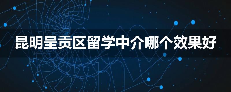 昆明呈贡区留学中介哪个效果好