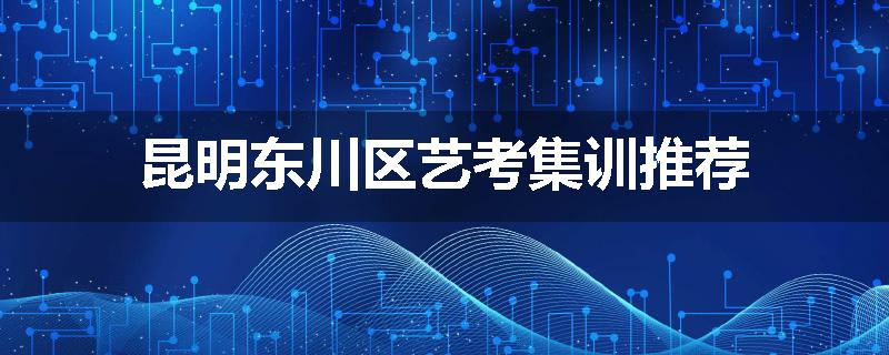 昆明东川区艺考集训推荐