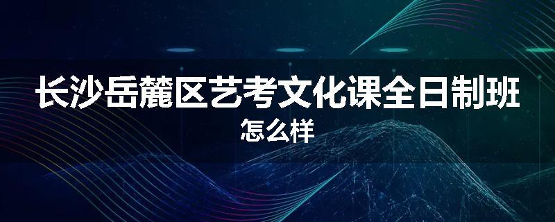 长沙岳麓区艺考文化课全日制班怎么样