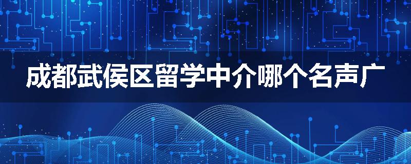 成都武侯区留学中介哪个名声广