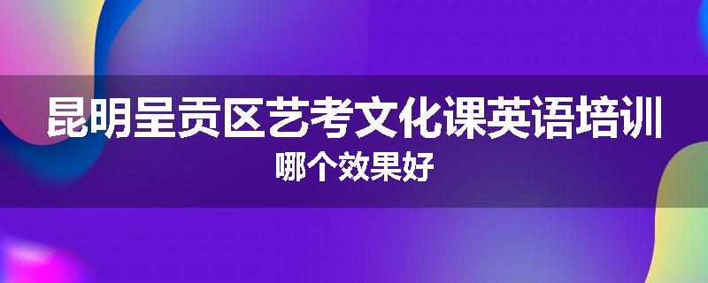 昆明呈贡区艺考文化课英语培训哪个效果好