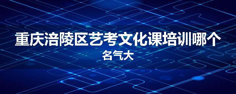 重庆涪陵区艺考文化课培训哪个名气大