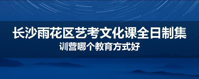 长沙雨花区艺考文化课全日制集训营哪个教育方式好