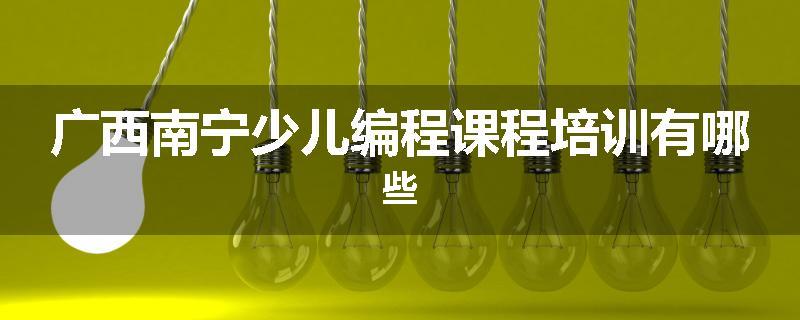 广西南宁少儿编程课程培训有哪些