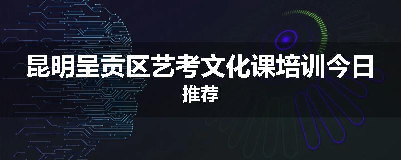 昆明呈贡区艺考文化课培训今日推荐