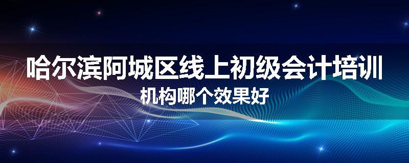 哈尔滨阿城区线上初级会计培训机构哪个效果好