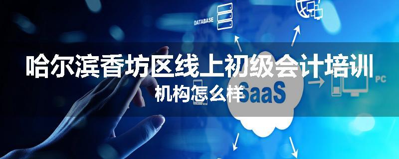 哈尔滨香坊区线上初级会计培训机构怎么样