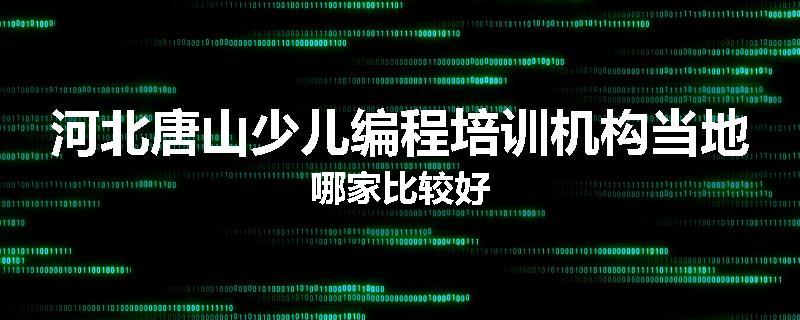 河北唐山少儿编程培训机构当地哪家比较好