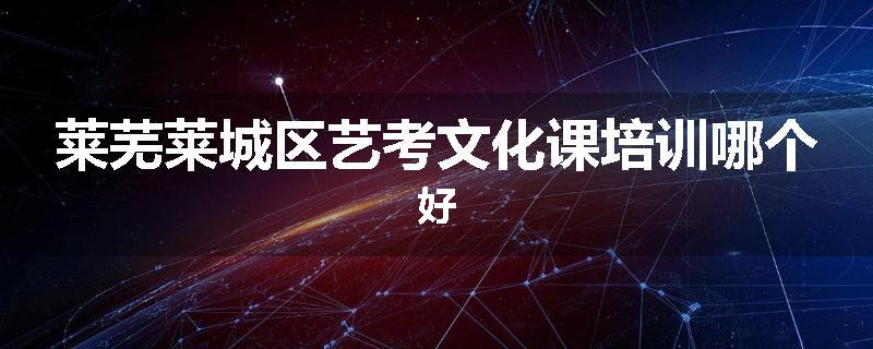 莱芜莱城区艺考文化课培训哪个好